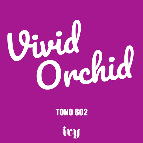 Labial Liquido Mate Indeleble Ivy Larga Duracion Vivid Orchid