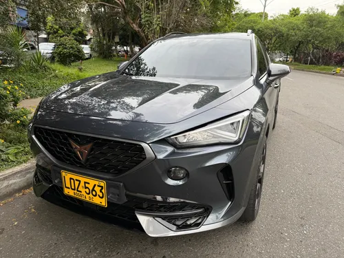 Cupra formentor 2.0 Tsi Metalizado Dsg