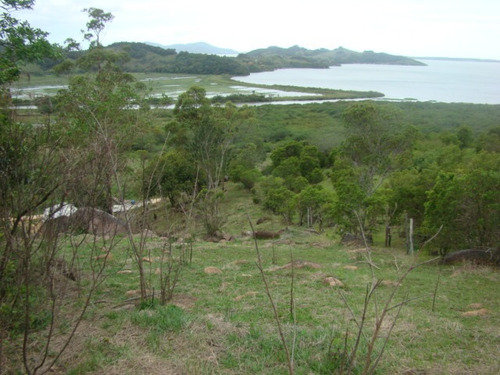 Imagem 10 de 14 de Terreno Rural De 17 Mil Im² - Tapeva, 400 Metros Da Sc 437