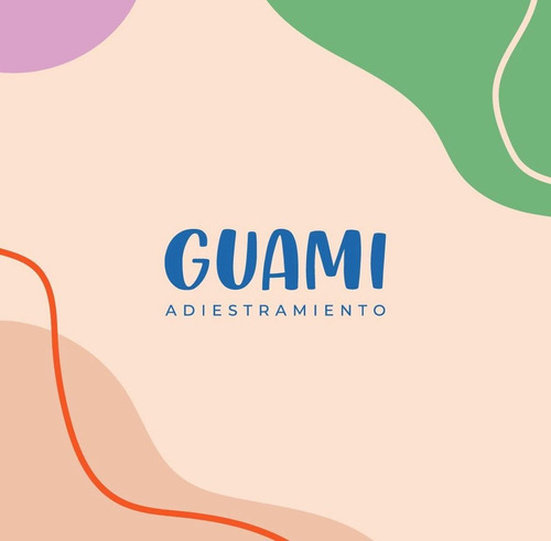 Adiestramiento Perros Educacion Clases Obediencia Guami 
