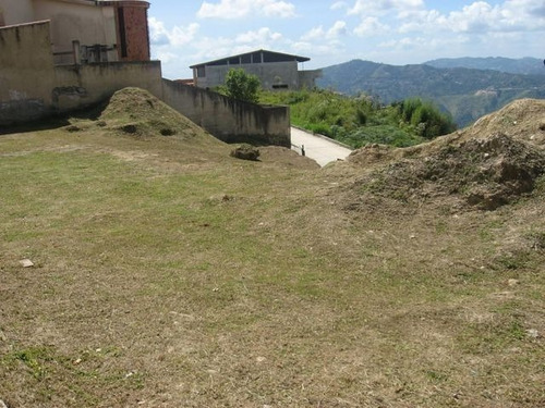 Imagen 6 de 16 de Terreno En Carimao #23-14573 Ccj