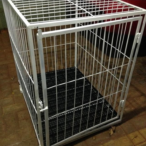 Gaiola Para Pet Shop 80x80x60