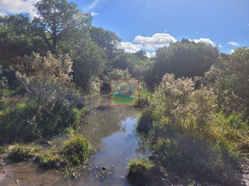 Imagen 9 de 22 de Campo Turístico 145hás En Zona De Pan De Azúcar