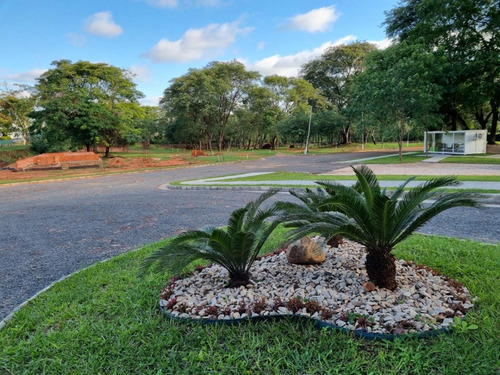 Terreno - En Venta - Paraguay Central Villa Elisa
