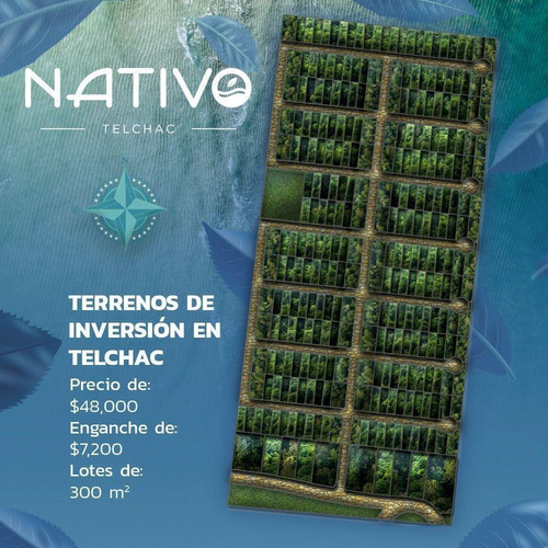 Imagen 2 de 5 de Lotes De Inversión En Yucatán Cerca De La Playa De Telchac
