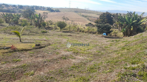 Imagem 2 de 22 de Chácara Repleta De Árvores Frutíferas - Ch0032