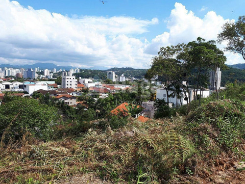 Imagem 3 de 5 de Terreno A Venda Em Brusque/sc - 1444