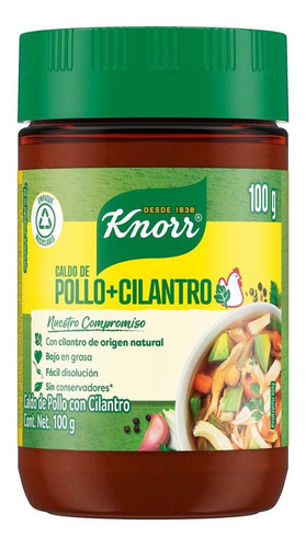 Caldo De Pollo Con Cilantro En Polvo Knorr 100g
