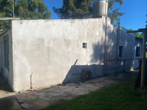 Venta 23 Hectáreas En 3 Padrones Independientes San Jose