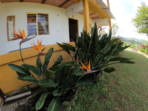 Imagen 1 de 18 de Finca En San Vicente Antes Del Pueblo 6.600 Mts Mts 650 Mill