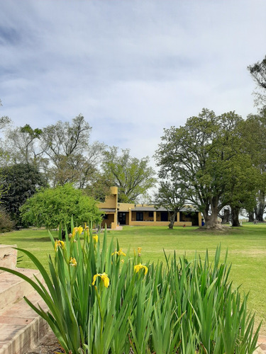 Puesto El Pato Casa De Campo Alquiler Temporal San Antonio De Areco