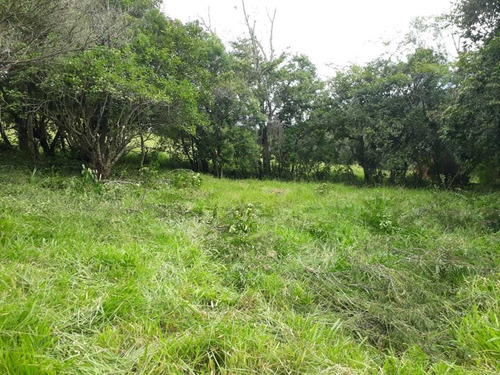 Chácara No Sul De Minas , Cidade De Seritinga, Apenas 3,5 Klm De Terra , Lago , Riacho. - 508