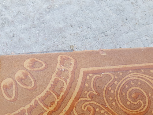 Ceramica 20x20 Marron Guarda Dibujo Reposicion Piso Pared (Usado)