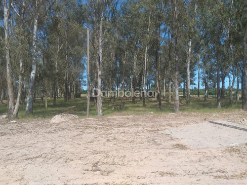 Imagen 9 de 25 de Terreno Fraccion En Venta O Permuta Ubicado En Cañuelas, Resto De La Provincia, Buenos Aires