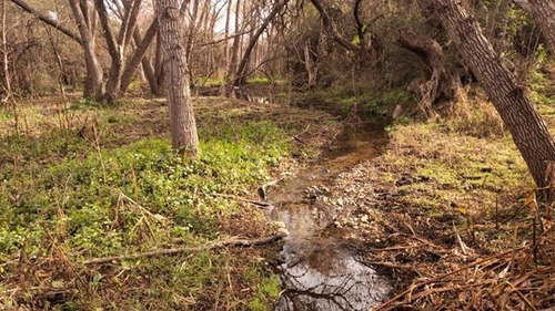 Imagen 14 de 30 de Terrenos Desde 3 Mil M2 A 1 Hectarea En Venta En San Javier, Traslasierras