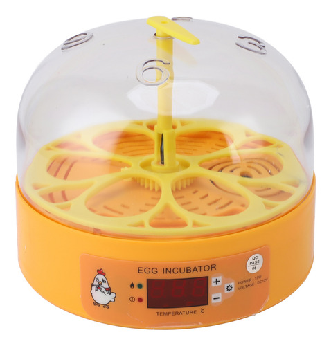 Incubadoras De Frango Inteligentes De 6 Ovos Automáticas