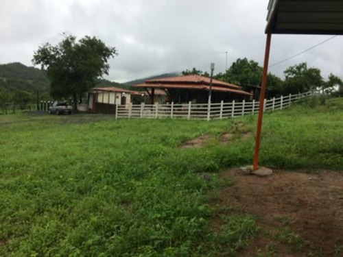 Imagem 7 de 9 de Fazenda Com 214 Tarefas A Venda Em Tanquinho - Afd007 - 70220002