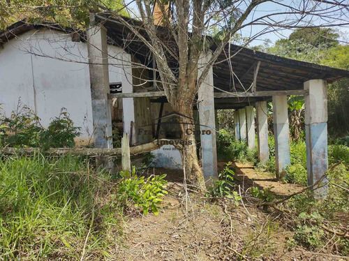 Imagem 26 de 28 de Terreno À Venda No Bairro Pilões - Guaratinguetá/sp - Tr009