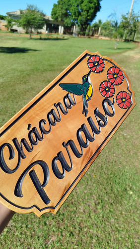 Placa Personalizada Com Sua Frase 40x20cm Colorida