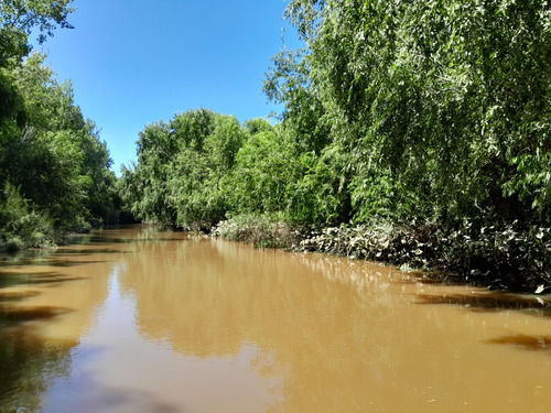 Lote Imperdible En El Delta De San Fernando 