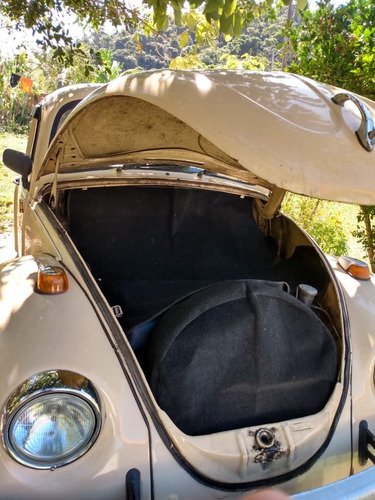 Wv Fusca