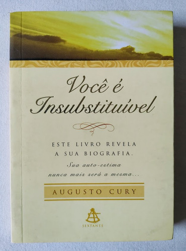 Não É Insubstituível - Augusto Cury (Usado)