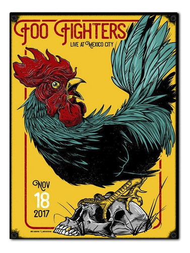 #860 - Cuadro Decorativo Vintage - Foo Fighters No Chapa