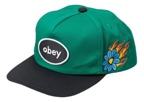 Obey Gorra Estilo Lessons 5 Panel Snapback Verde