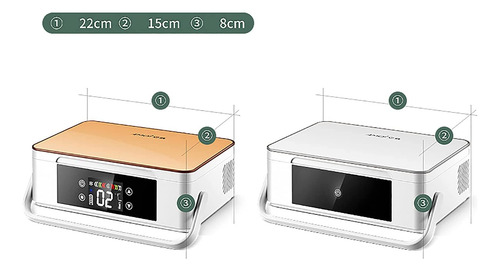 Caja Refrigerada Con Enfriador De Insulina, Cargador