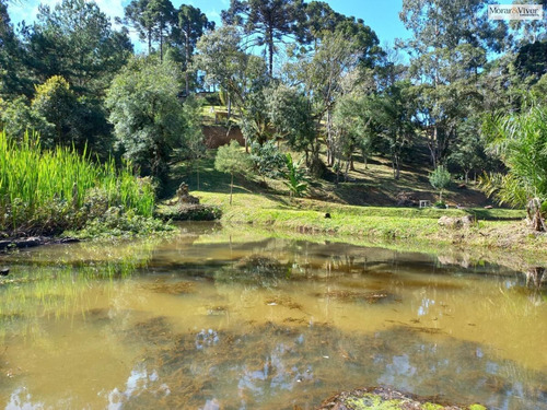 Imagem 9 de 15 de Chácara Para Venda Em Quatro Barras, Zona Rural - Cha6600_1-2421138