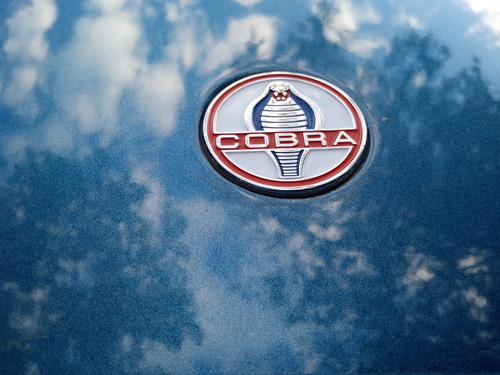 Cobra Shelby V8 5.2 Titular