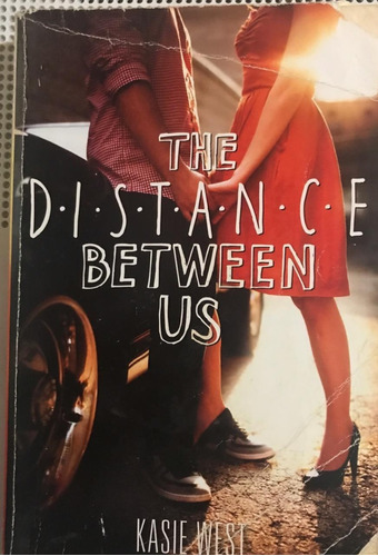 The Distance Between Us (ingles)