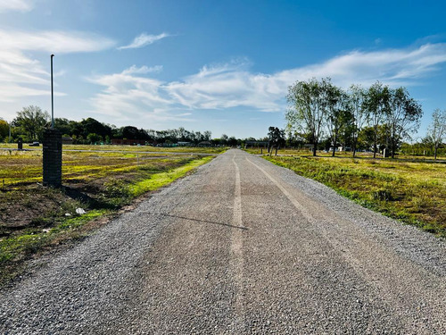Terreno En Manzanares - Lomas De Manzanares