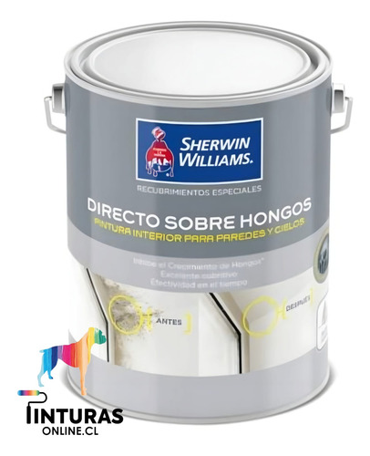 Esmalte Al Agua Sherwin Williams Directo Sobre Hongos 1gl