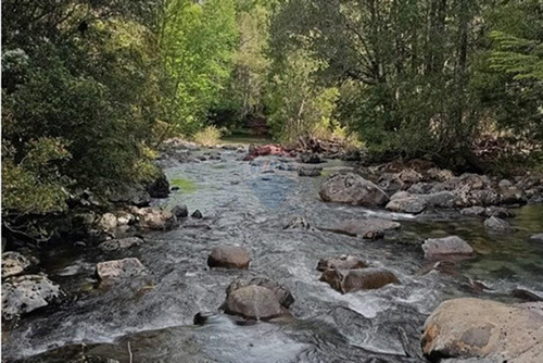 Venta Parcela Pucón Con Acceso A Rio Carhuello