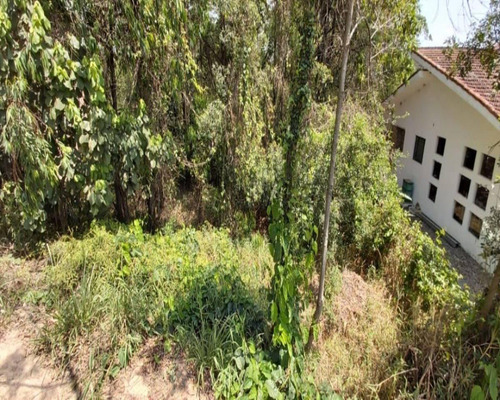 Imagem 10 de 12 de Ester Imóveis Negócios Imobiliários Creci 180319-f - Lotjaos17 - 34702586