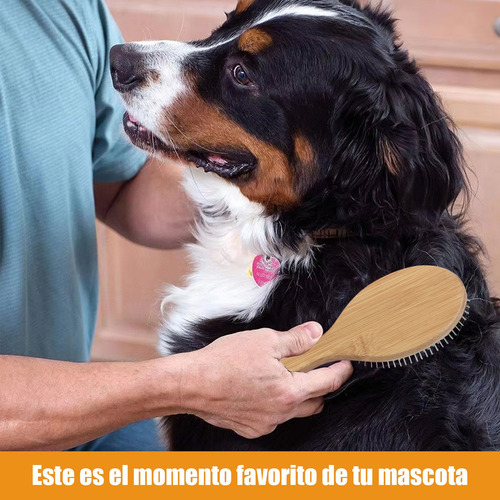 Cepillo Mantequilla Punta De Alfiler Para Perro Peine Airbag