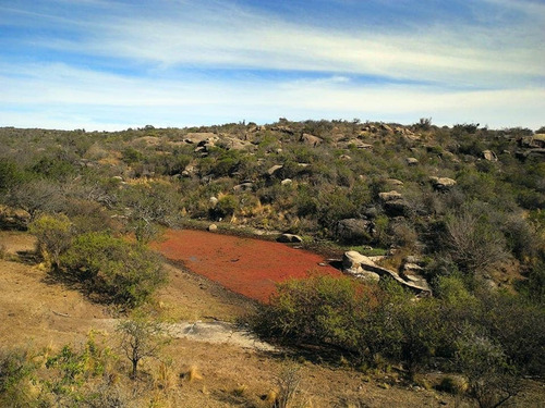 Imagen 12 de 25 de Excelente Campo Nativo De 103ha La Venta En Ojo De Agua!