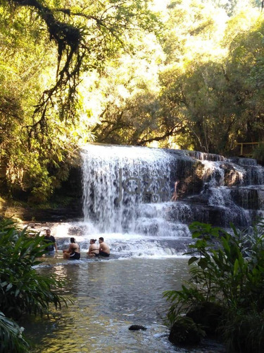 Chácara Com 1 Dormitório À Venda, 5800 M² Por R$ 180.000,00 - Zona Rural - Prudentópolis/pr - Ch0232