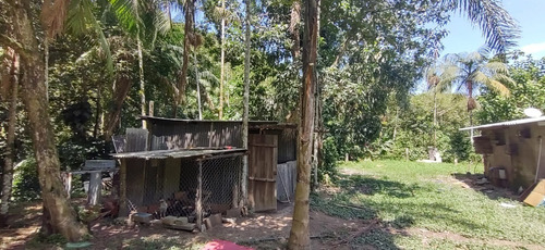 Imagem 2 de 18 de Miracatu /bela Chácara Plana C/riacho/só R$ 90 Mil/oportunidade/ref:05367