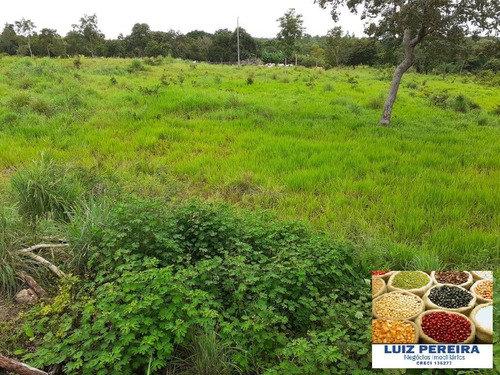 Imagem 3 de 15 de Fazenda À Venda Em Dois Irmãos - To - De 13 Alqueirões (dupla Aptidão) - 1687