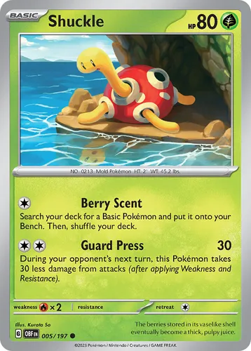 Shuckle 5/197 Pokemon Card Obsidian Flames Scarlet & Violet