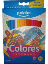 Comprar Colores Intensos Pointer \u002F Super Cremosos 36x Colores