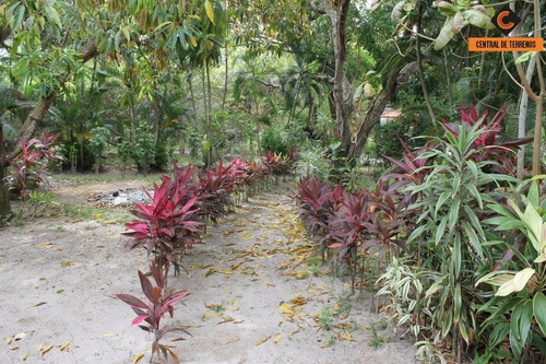 Imagem 21 de 30 de Terreno Em Camaçari - Te00385 - 68849637