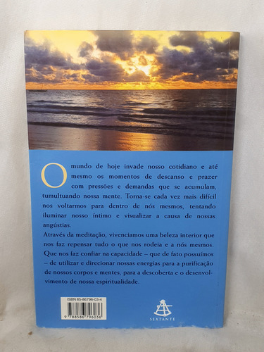 Livro Meditando Com Brian Weiss - Brian Weiss - Editora Sextante (Usado)