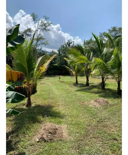 Finca Santa Fe De Antioquia Via A Bolombolo. Se Vende