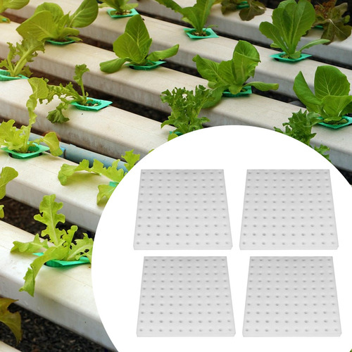 Plantas De Esponja Hidropónica Capa De Crecimiento Cultivo