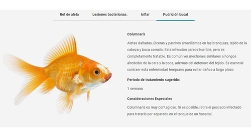 Neoplex 10gr Seachem Medicamento Para Peces