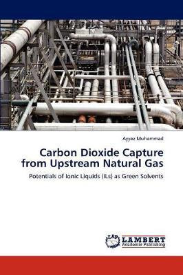 Libro Carbon Dioxide Capture From Upstream Natural Gas - ...