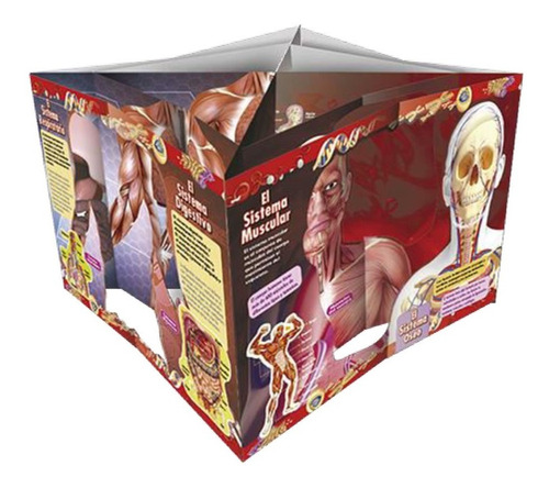 El Cuerpo Humano. Explorando En 3d. (libro Infantil)